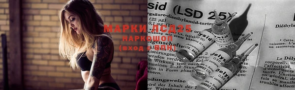 мяу мяу мука Михайловск