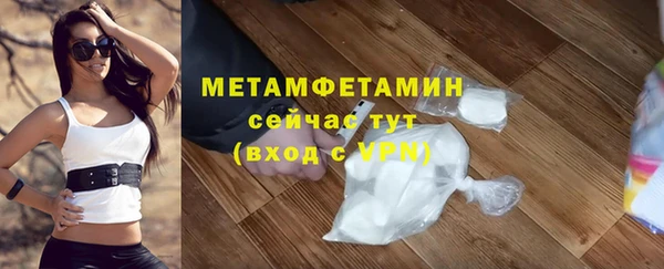 мяу мяу мука Михайловск