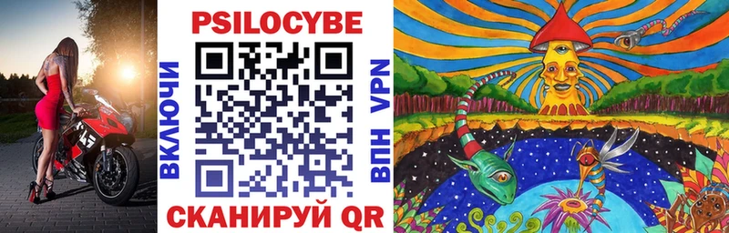 Псилоцибиновые грибы Psilocybine cubensis  Кодинск 
